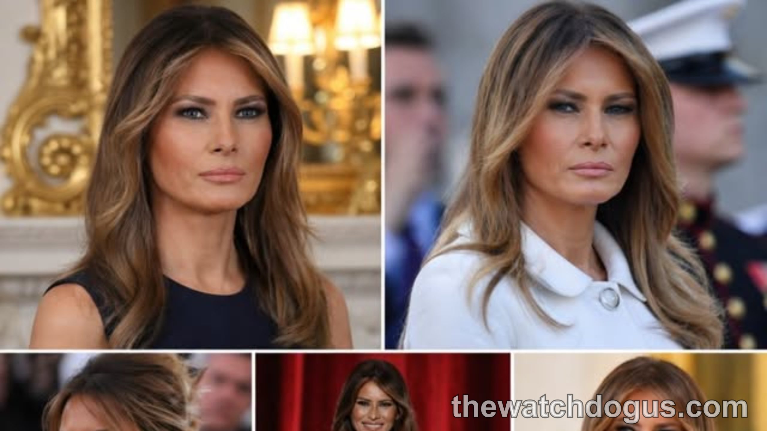 Melania Trump family support shown through multiple formal portraits at official White House and government events