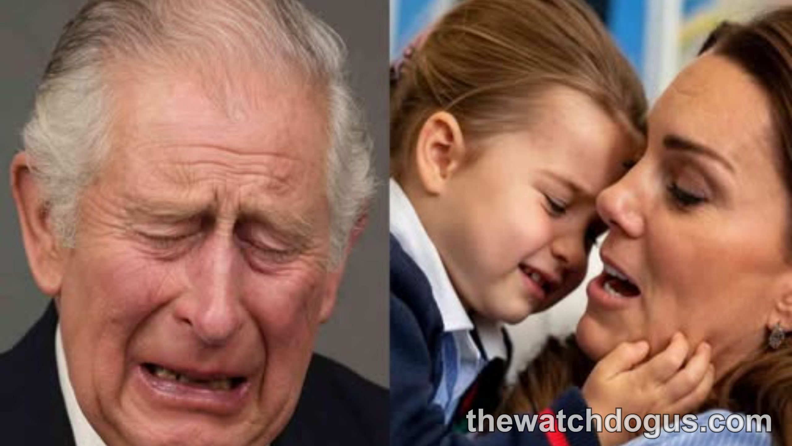 King Charles emotional moment and Prince William with young child in casual setting