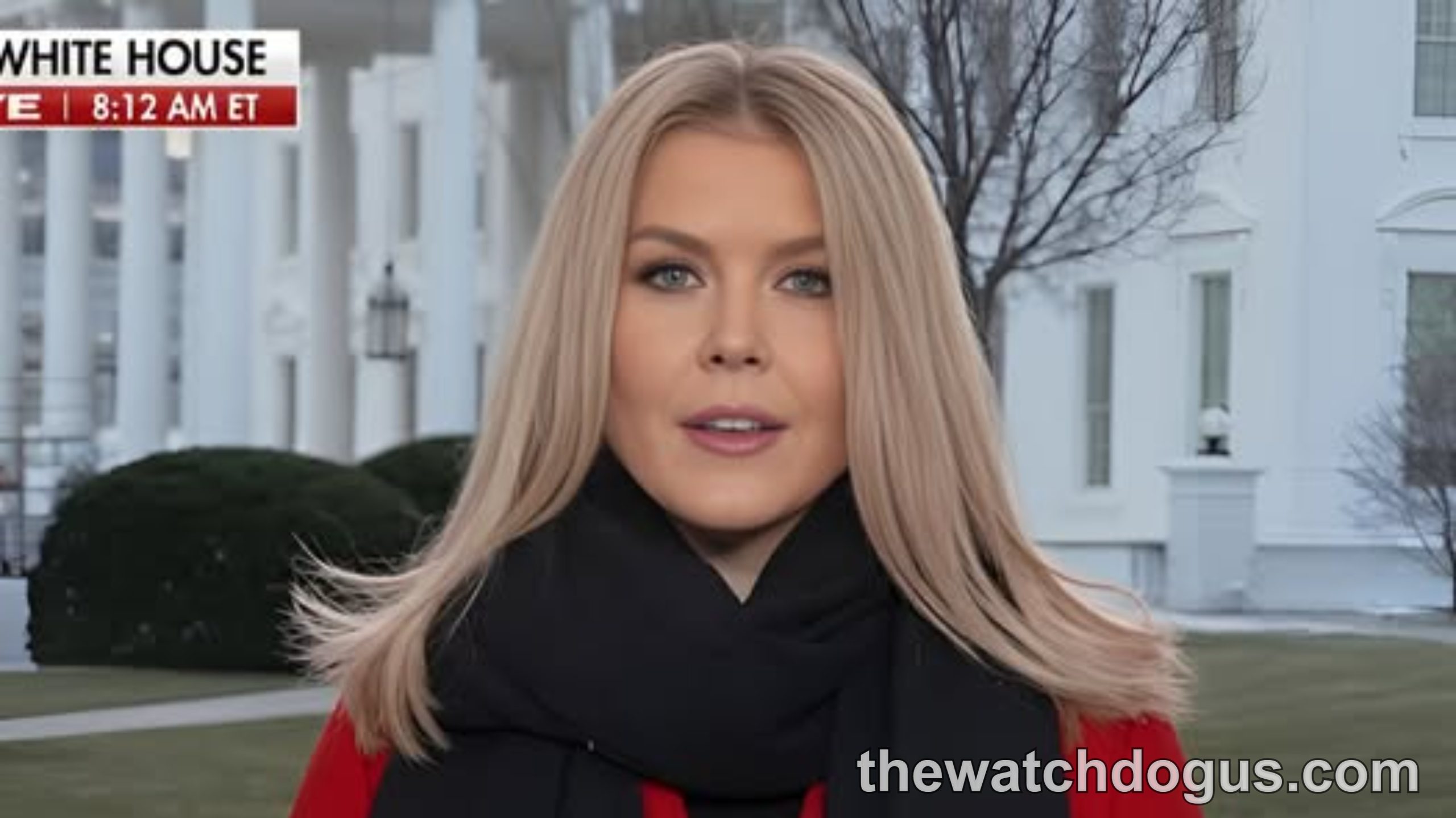 News correspondent reporting breaking news about federal worker buyout plan from White House grounds