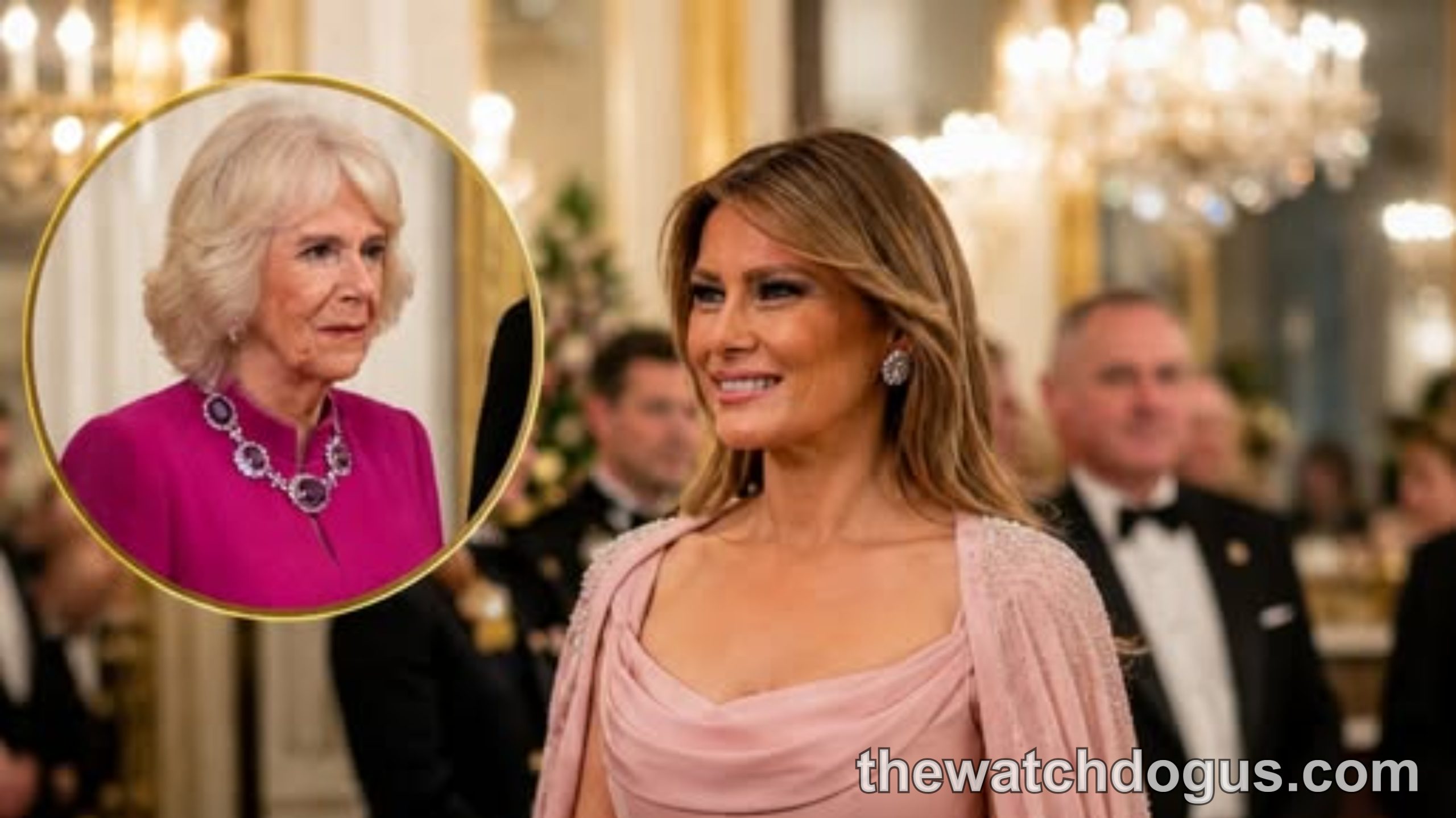 Melania Trump wearing pink gown at state dinner compared to Queen Camilla in magenta dress