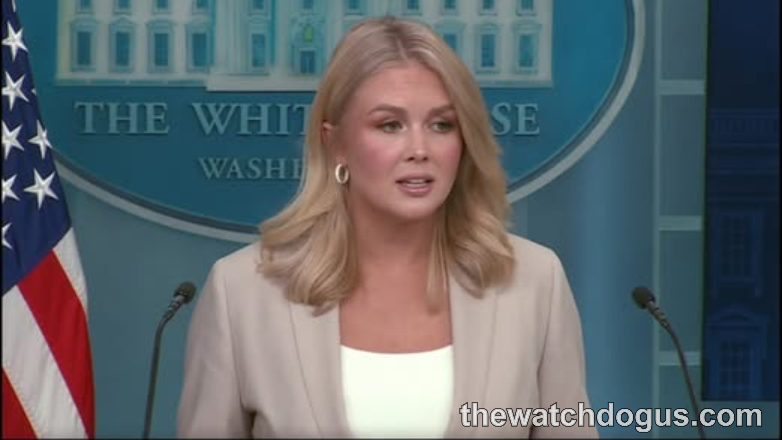 Woman at White House podium during press briefing, Rubio 2028 presidential speculation