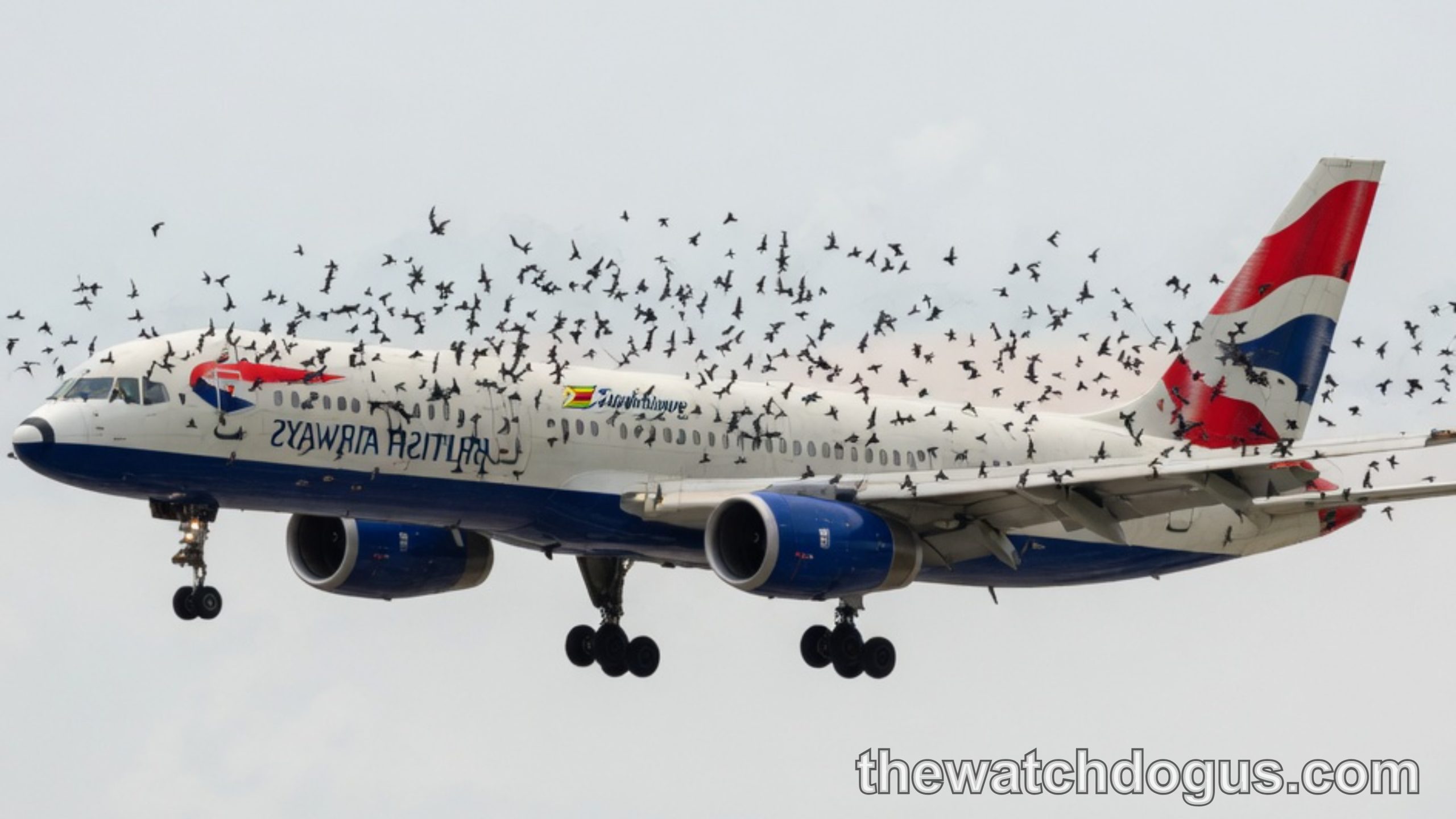 British Airways aircraft surrounded by flock of birds during emergency landing after bird strike incident