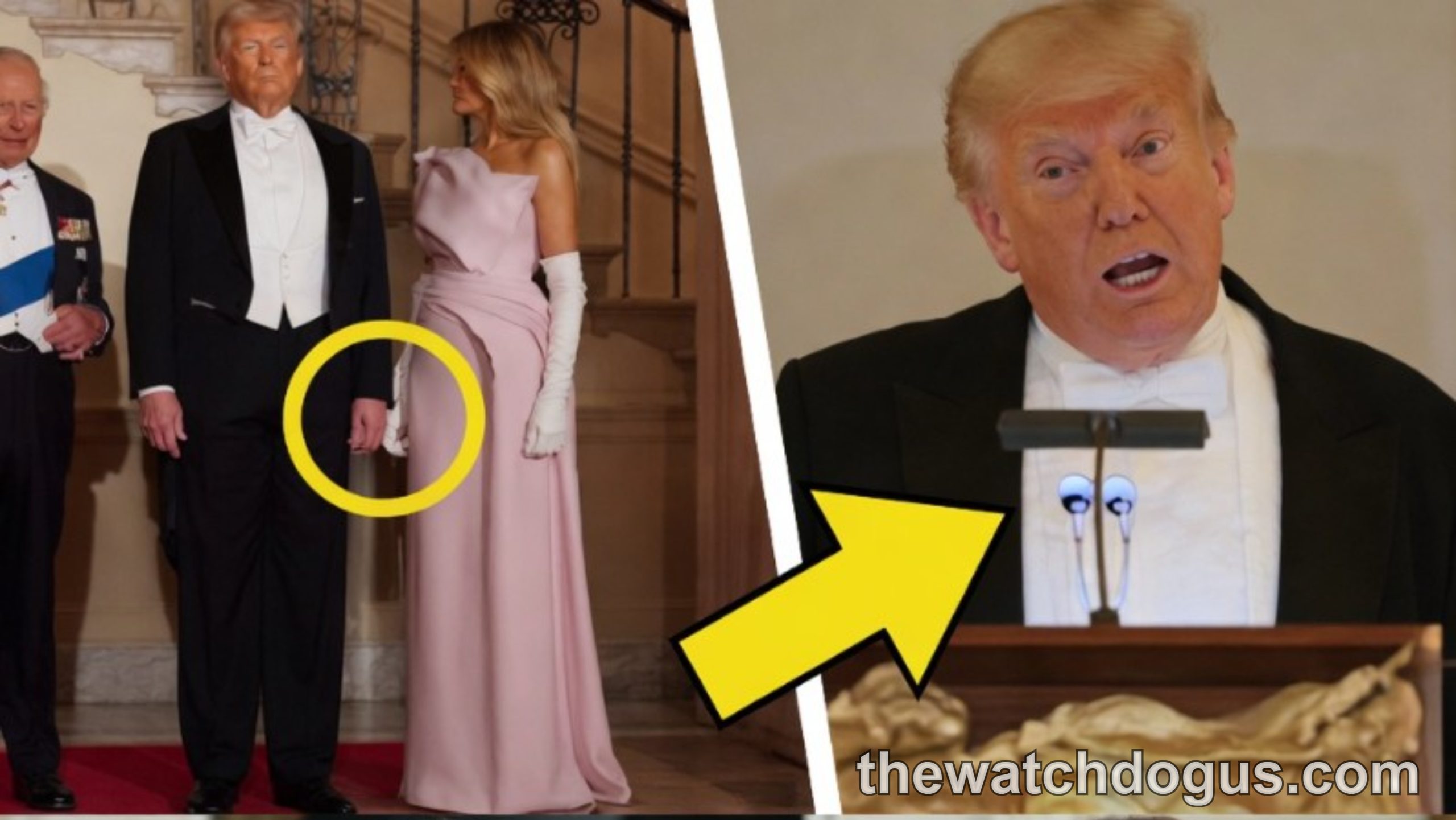 Trump and Melania at formal state dinner event in evening wear at White House