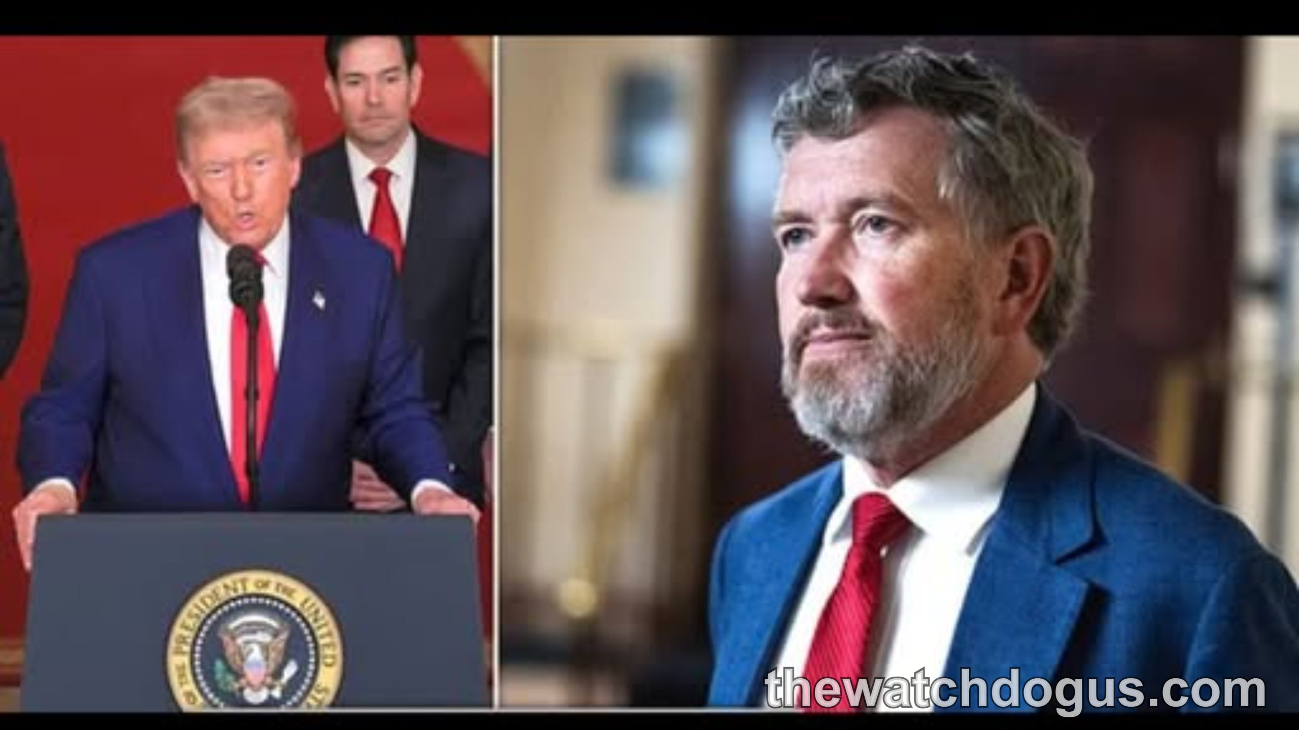 Political news thumbnail showing two men in professional settings with headline about anti-Trump RINO primary race