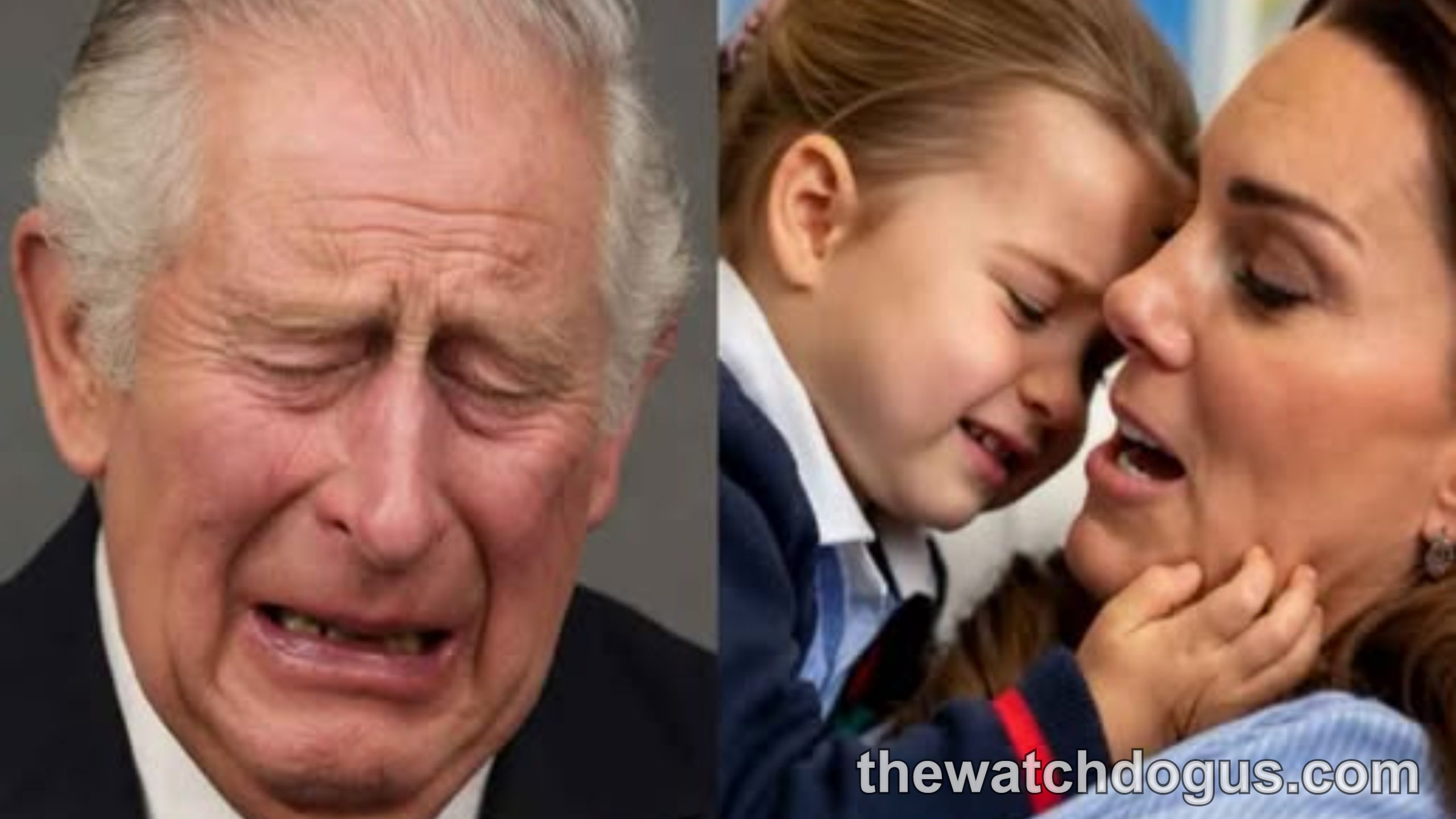 King Charles emotional expression on left, Prince William with young child on right in candid moment