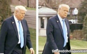 Trump viral photo hair comparison showing two side-by-side images of the former president walking outdoors
