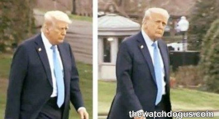Trump viral photo hair comparison showing two side-by-side images of the former president walking outdoors