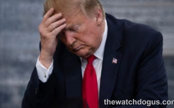 Trump Washington moment shows concern as man in dark suit and red tie holds head thoughtfully