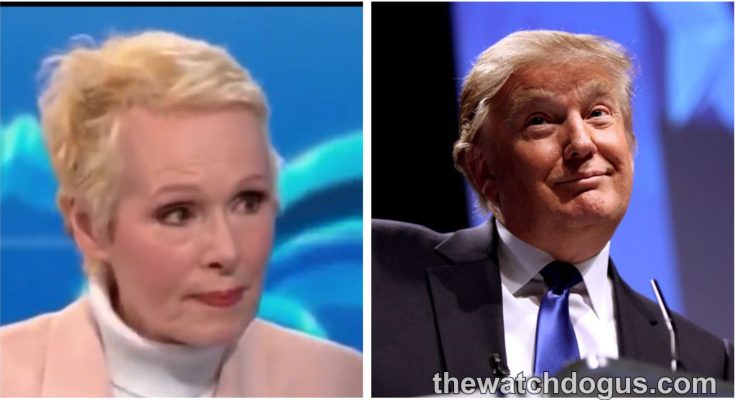 E. Jean Carroll perjury investigation: Carroll and legal figure in formal attire during proceeding