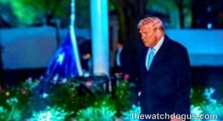 Man in dark suit and tie standing on illuminated lawn at night with Trump mysterious companion visible in background