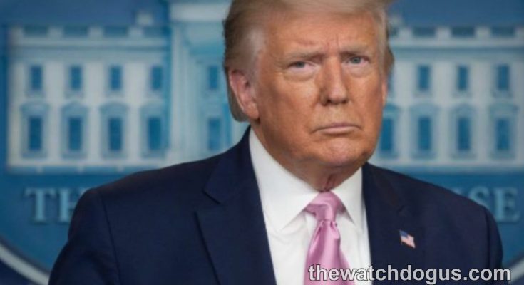 Trump speaks about DC crackdown during White House press briefing