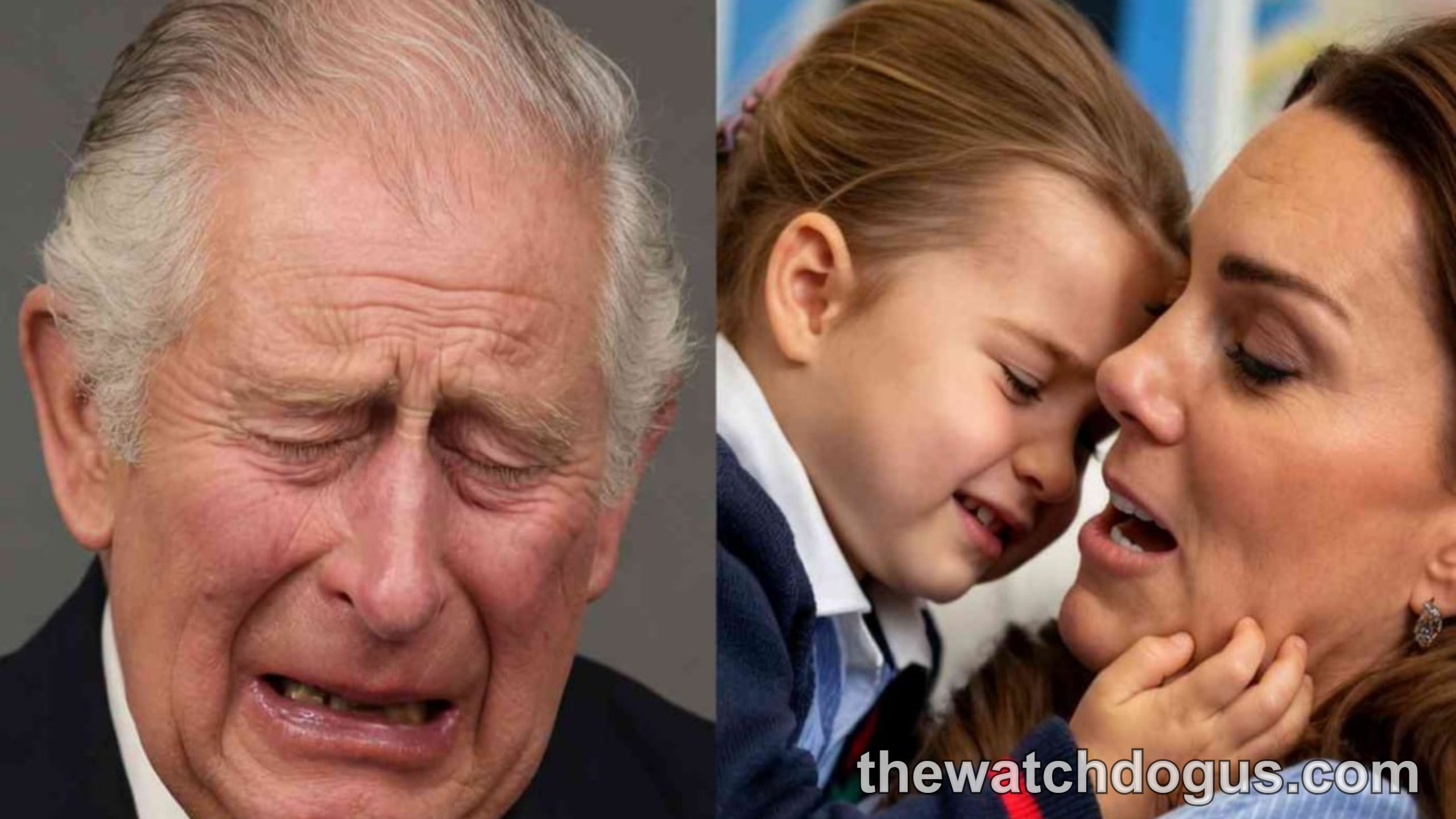 King Charles emotional expression left, Prince William with young child right in formal setting