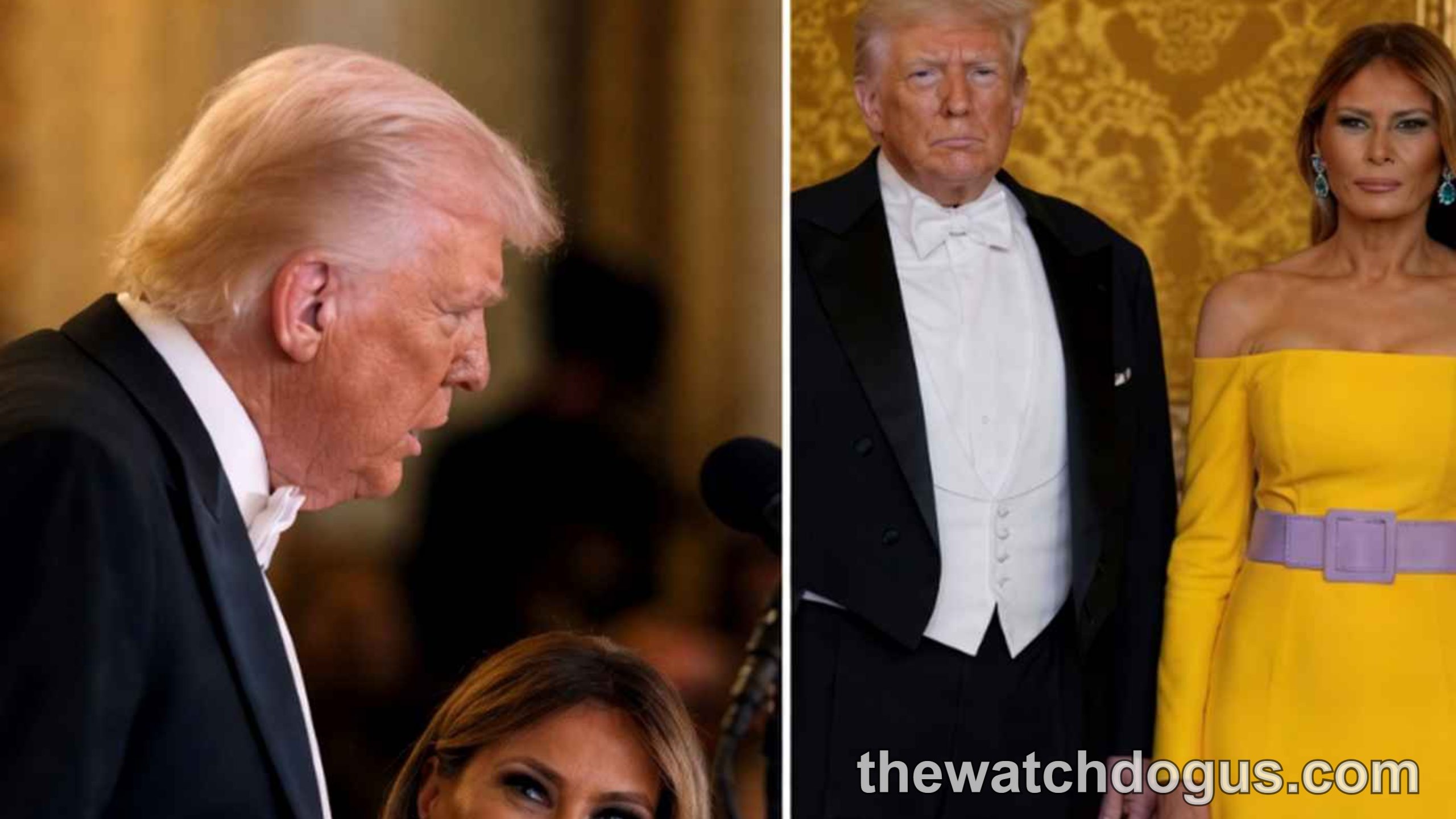 Trump and Melania at formal White House event, Melania in yellow dress appearing emotional during conversation