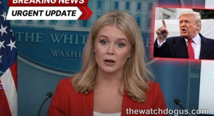 Breaking news anchor reporting on US Attorneys terminated Trump with White House backdrop