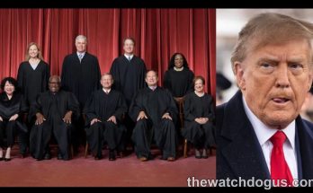 Supreme Court justices in official robes with commentary on major Supreme Court appliance ruling decision