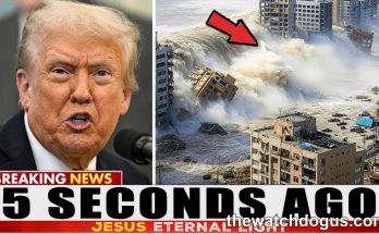 Breaking news thumbnail showing political figure on left and coastal disaster scene with massive waves on right
