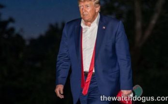 Man in blue suit walking at night with red lanyard, Trump sighting speculation image