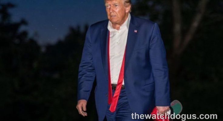 Man in blue suit walking at night with red lanyard, Trump sighting speculation image