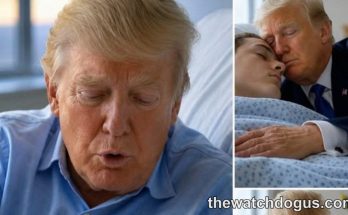 NYC emergency response official visiting patient in hospital bed during crisis management visit