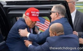 Security personnel assist man wearing red MAGA hat and American flag pin after Trump shot false claims incident