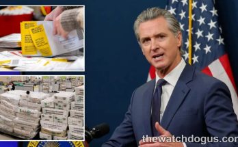 California 40th District election official ballot envelopes and voting materials with state official