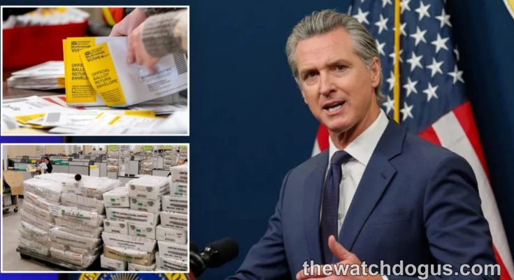 California 40th District election official ballot envelopes and voting materials with state official