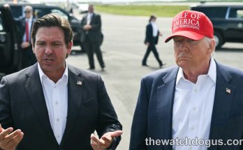 Florida immigration enforcement officials discuss border policy at tarmac event