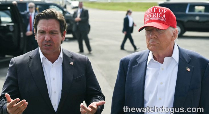 Florida immigration enforcement officials discuss border policy at tarmac event