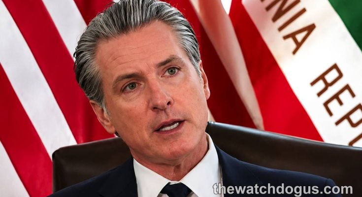 California political figure speaks at podium with American and state flags during Julia Brownley re-election campaign event